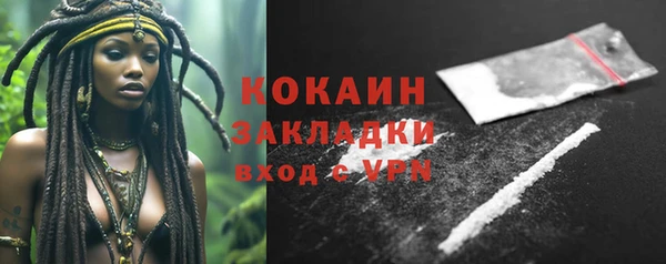 тгк Ладушкин