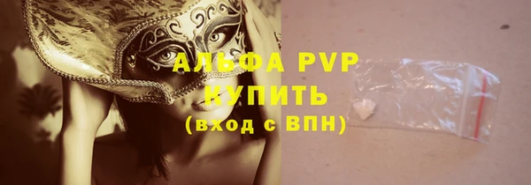 тгк Ладушкин