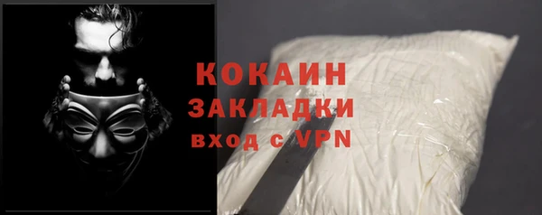 тгк Ладушкин