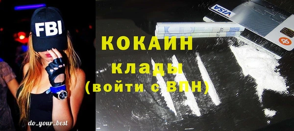 тгк Ладушкин